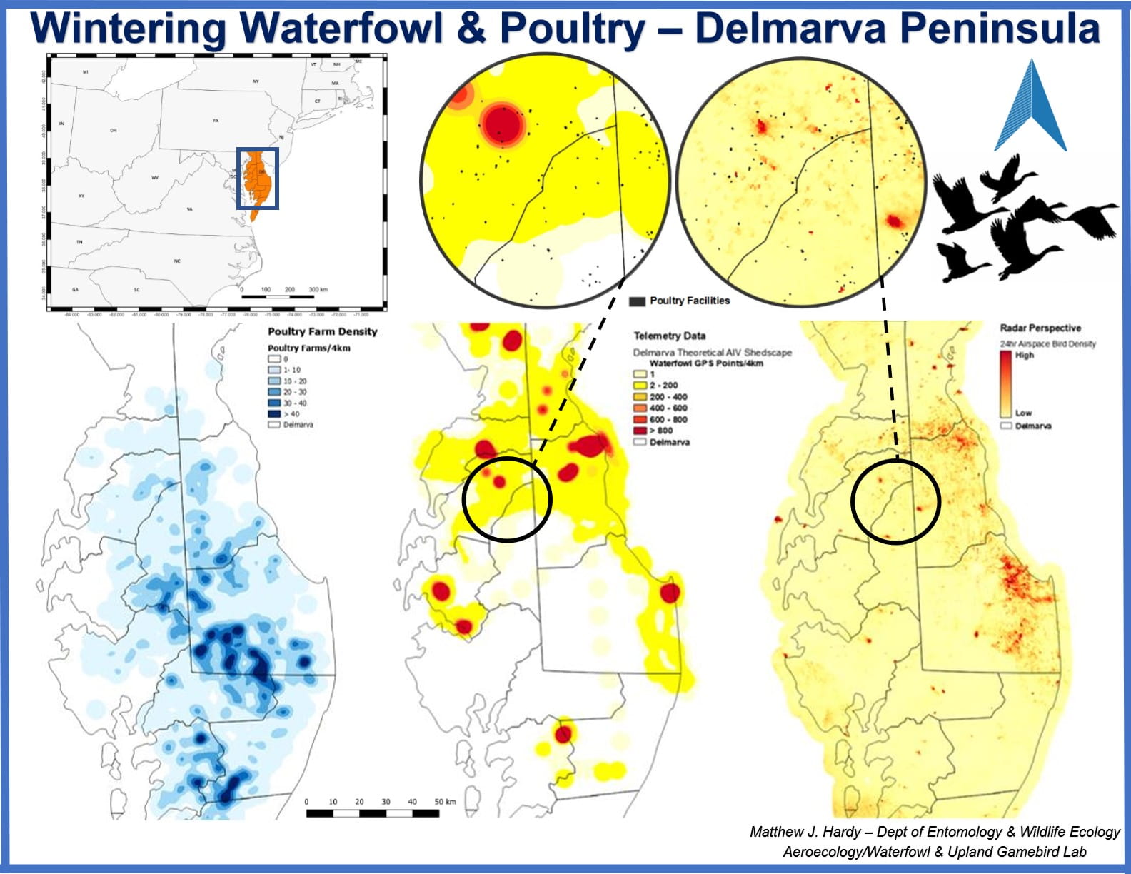 2021 Honorable Mention Map from Matthew Hardy - Wintering Waterfowl Poultry